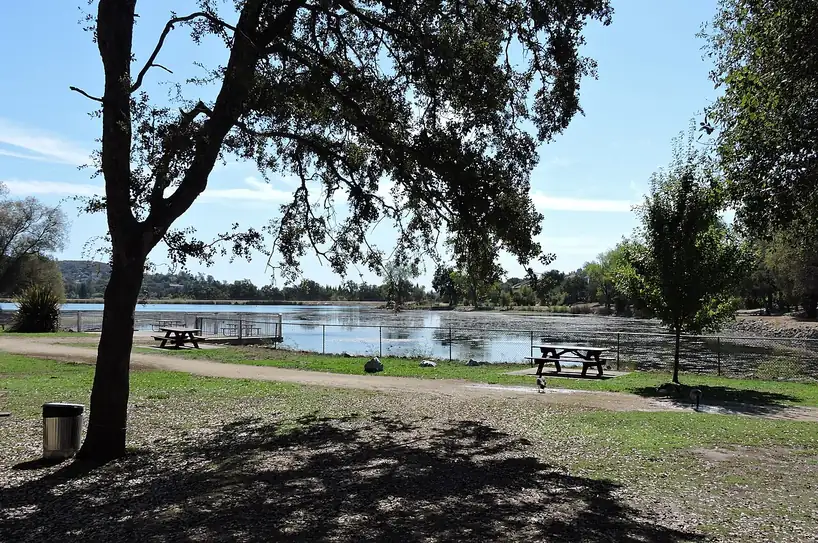 Cameron Park Lake framed by a large oak on a clear day